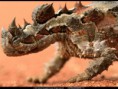 /album/fotogalerie/national-geographic-wallpapers-030-jpg/